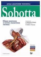 Sobotta. Атлас анатомии человека: Т. 1: Общая анатомия и костно-мышечная система: в трех томах. 2-е изд.. Логосфера