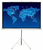 Настенный экран CACTUS Triscreen CS-PST-150X150 84"