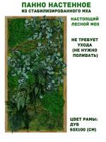 Панно из стабилизированно мха GardenGo в рамке цвета дуб, 50х100 см, цвет мха зеленый