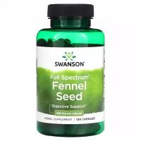 Swanson, Full Spectrum Fennel Seed, 480 mg, 100 Capsules