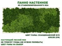 Панно из стабилизированно мха GardenGo в рамке цвета скандинавский бук, 60х130 см, цвет мха зеленый