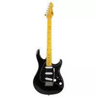 Электрогитара Peavey Raptor Custom BLK