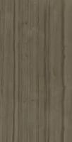 Керамогранитная плитка ITALON 610015000592 Charme Advance Elegant Brown Lux 80X160