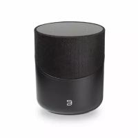 BlueSound PULSE M Black