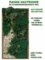 Панно из стабилизированно мха GardenGo в рамке цвета орех, 50х100 см, цвет мха зеленый