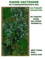 Панно из стабилизированно мха GardenGo в рамке цвета орех, 60х130 см, цвет мха зеленый