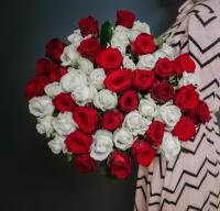 Букет 51 красно-белая роза, 50 см