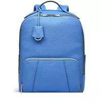 Рюкзак Radley WOOD STREET 2.0 Medium Zip-Top Backpack (Tranquil Blue)