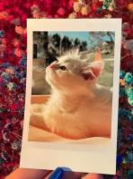 Фотокарточки в наборе Instax Rokveller Photo3