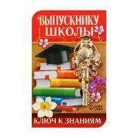 Ключ сувенирный на Выпускной "Выпускнику школы", металл, 2 x 4.8 см