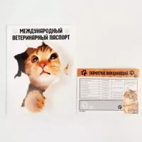 Обложка для ветеринарного паспорта "Международный ветеринарный паспорт" и памятка для кошки