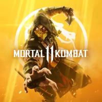 Игра Mortal Kombat 11 Standard Edition для PC, активация Steam, электронный ключ