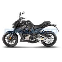 Мотоцикл Regulmoto ALIEN MONSTER 300, Черный, 100012-3