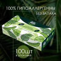 Салфетки Master FRESH бумажные в коробочке 100 шт