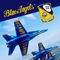 Сервис активации для Blue Angels Aerobatic Flight Simulator — игры для PlayStation