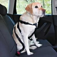 TRIXIE Трикси А/м ремень безопасности со шлейкой для собак 20-50 см