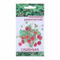 Семена "Растет дома и на даче" Земляника Сашенька 10 шт