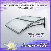 Лотос-120 Прозрачный. Козырек разборный над крыльцом, дверью, входом, окном, для дома и дачи. Металлический. Для двери крыльца, входа или окна