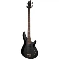 Бас-гитара Schecter SGR C-4 BASS MSBK