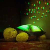 Музыкальный ночник-проектор Dream Lites Черепаха