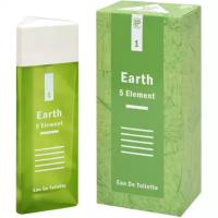 Positive 5 Element Earth Туалетная вода (edt) 100мл