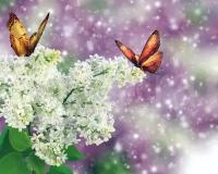 Фотообои Белый цветы и бабочки 275x344 (ВхШ), бесшовные, флизелиновые, MasterFresok арт 4-094