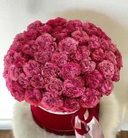 Букет Пионовидные розы темно - розовые в коробке 51 шт., красивый букет цветов, шикарный, цветы премиум, роза