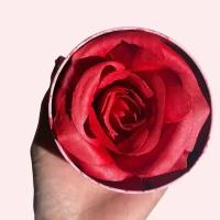 Eloise Beauty Румяна Eternal 3D Rouge Romance, 65 г