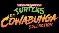 Teenage Mutant Ninja Turtles: The Cowabunga Collection (Steam; PC; Регион активации Евросоюз)