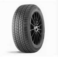 Автомобильные зимние шины Doublestar DW09 215/45 R17 91H