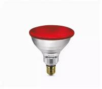 Красная инфракрасная лампа Philips 923801444210