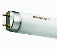 Люминесцентная лампа Sylvania 0001080