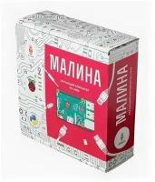 Электронный конструктор Амперка Малина AMP-S039