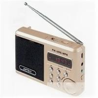 Perfeo мини-аудио Sound Ranger, УКВ+ FM, MP3 (USB/TF), USB-audio, BL-5C 1000mAh, шамп.золот (SV922AU) [PF_3185]