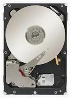 Seagate ST2000NM0033