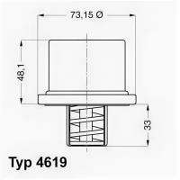 Термостат Volvo F/FH12, 461982 WAHLER 4619.82