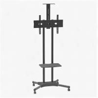 Стойка Arm Media PT-STAND-12 32-70" max 55кг VESA 600x400 напольная фиксированная