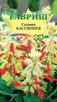 Гавриш, Сальвия Кассиопея, карликовая 4 семени