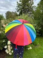 Зонт-трость радуга (разноцветный) механика