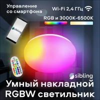 Умный накладной Wi-Fi светильник 24 Вт Sibling (работает с Алисой)