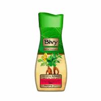 Шампунь для волос Bivy Herbal Shampoo Ginseng 600 мл