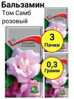 Бальзамин Томб самб розовый Однолетник 0,1 грамм, Поиск - 3 пачки