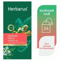 Чай зеленый с добавками в пакетиках Herbarus "Имбирь Мята", 24 шт