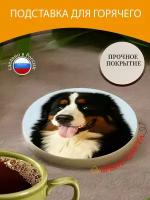 Подставка под горячее "Собака, хаски, бернский зенненхунд" 10 см. из блого мрамора
