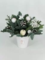 Кашпо белое с живой сосной нобилис Зимний букет Новогодняя композиция