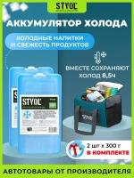 Аккумулятор холода (STVOL SAC01_2 пластиковый, 300 гр/мин темп. поддержания 4,2ч 2шт)