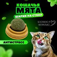 Кошачья мята / Шарик с кошачьей мятой на стену / Лакомство для кошек