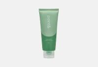 Пенка-скраб для очищения лица point& Calming Vege Mugwort Scrub Foam / вес 150 г