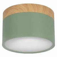 Накладной светильник Loft IT Grape 10162 Green