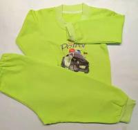Пижама детская с начесом размер 24/74-80